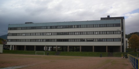 Charleston Academy